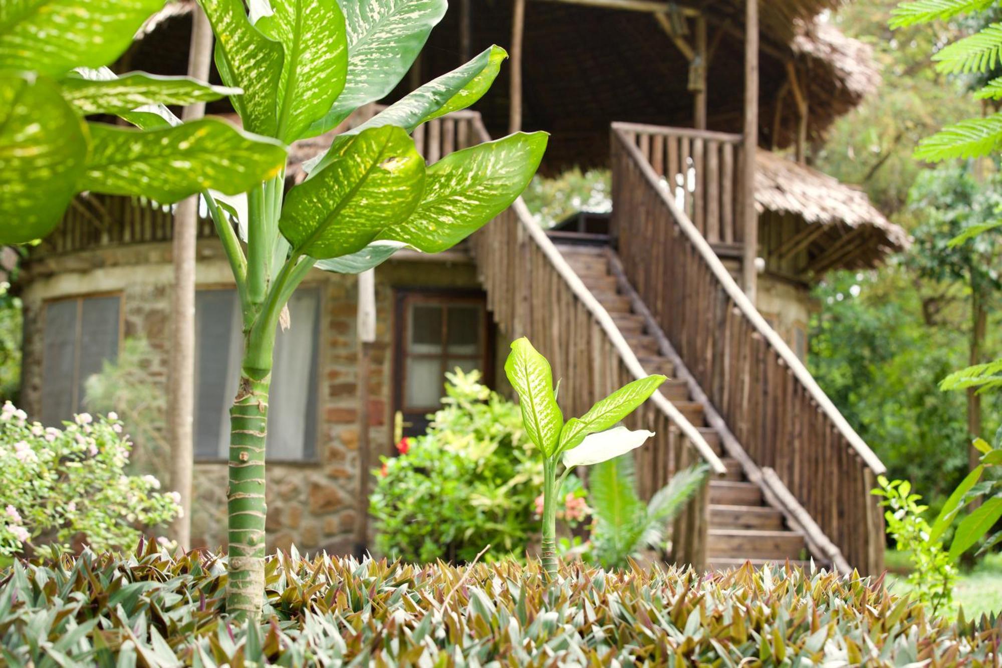 Baker Safari Company Villa Kwangwazi Exterior photo